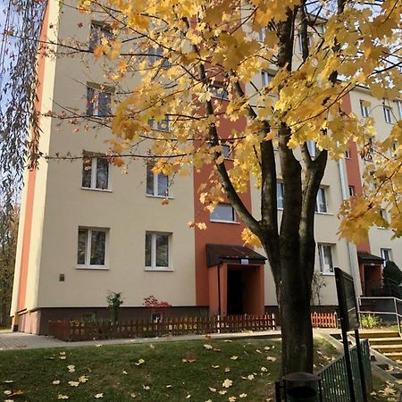 Apartament Krakowska 보치니아 외부 사진